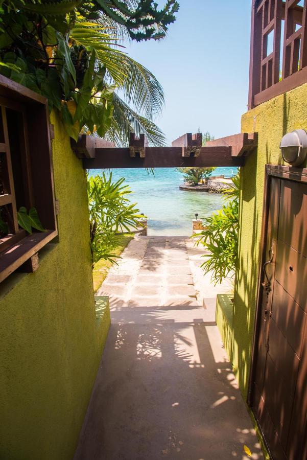 Maribella@Crystal Cove Ocho Rios Apartment Stanmore Grove Bagian luar foto
